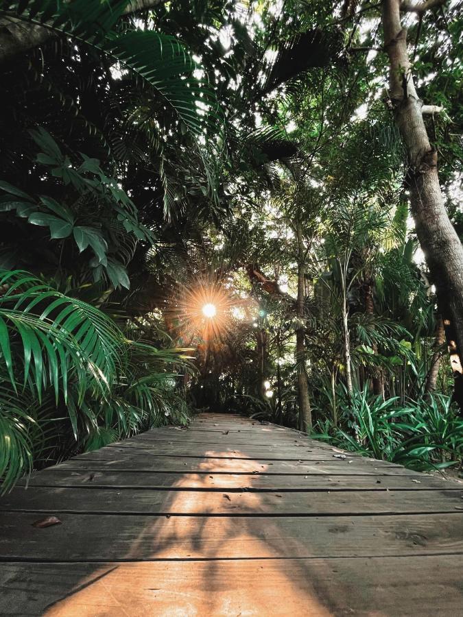 아카풀코 Jardin Secreto Centro Holistico 빌라 외부 사진