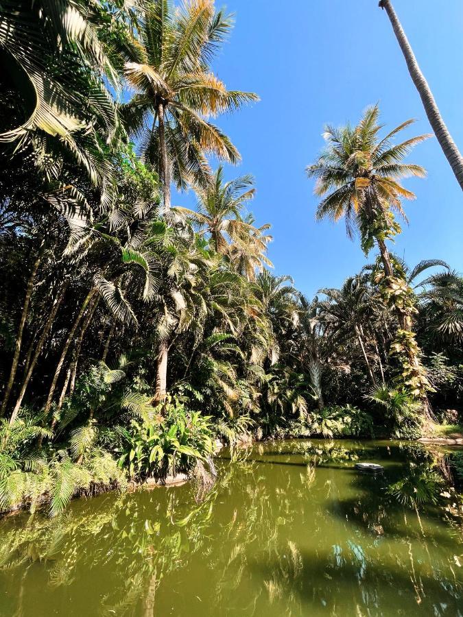 아카풀코 Jardin Secreto Centro Holistico 빌라 외부 사진