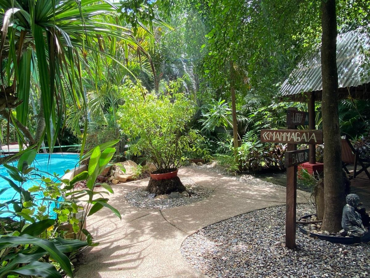 아카풀코 Jardin Secreto Centro Holistico 빌라 외부 사진