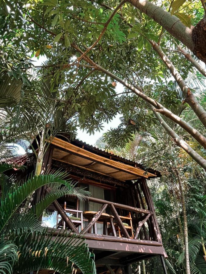 아카풀코 Jardin Secreto Centro Holistico 빌라 외부 사진