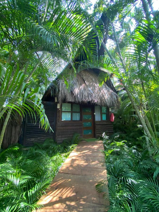 아카풀코 Jardin Secreto Centro Holistico 빌라 외부 사진